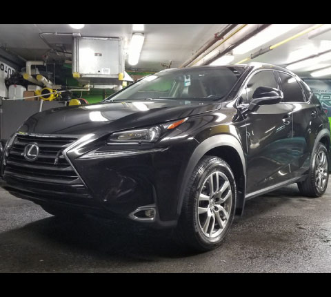 Pro Wax Portfolio Scellant