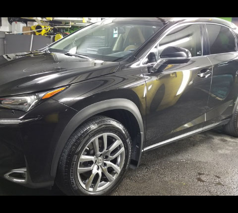 Pro Wax Portfolio Scellant