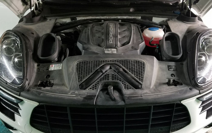 Pro wax Moteur